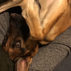 Meet your Posher, Julia